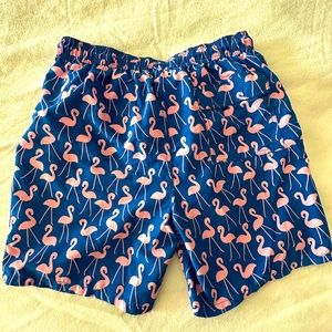 Tom and teddy swim trunks